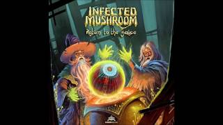 Infected Mushroom  Flamingo [upl. by Llednov869]