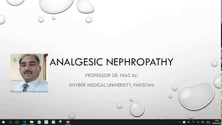 Analgesic Nephropathy a silent killer that should not be undermined [upl. by Odeen851]