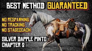 Best Technique To Catch The Fastest Horse A Comprehensive Guide Top Speed Race Horse [upl. by Ahsirat]