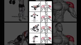 Shoulders exercise for dumbles home workout gym homeworkout shorts viralshorts [upl. by Ettebab]