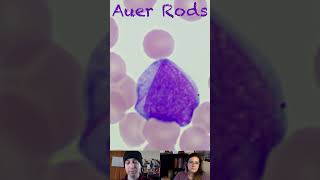 Auer Rod Morphological Characteristics [upl. by Faydra407]