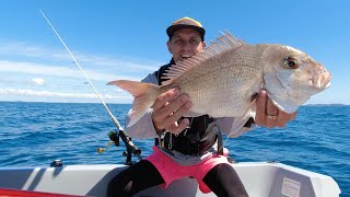 Fishing the locals honey hole  Softbait Snapper amp Trevally [upl. by Matthews142]