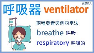 呼吸器英文 ventilator  breathe 呼吸動詞  宅在家裡讀英文 Stay home studying English [upl. by Aday]