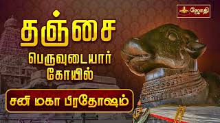 தஞ்சை பெருவுடையார் கோயில்  சனி மகா பிரதோஷம்  Sri Brihadeeswarar Temple  Sani Pradosham [upl. by Mok]