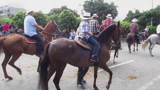 Cabalgata Horse Parade at the Feria de las Flores Flower Festival in Medellin Colombia [upl. by Aidas877]