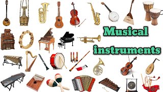 List of Musical Instruments l Musical Instruments Names in English With Pictures  Musical Video [upl. by Langdon636]