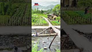 beautiful doga beautifulplace nature naturesbeauty reelsvideo wiew viralvideos Beautifull [upl. by Kieryt]