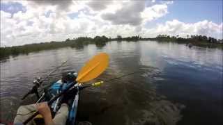 Kayak Fishing Drum Island Florida [upl. by Reppiks]