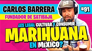 ►91  ¿Es Legal cultivar y consumir Marihuana en México SATIBAJA nos cuenta todo 🌿⚖️ [upl. by Flodnar]