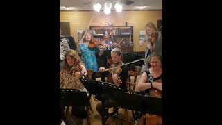 🤣🎻Our rehearsal blooper Come hear Marta Szlubowska Ensemble Sunday Nov 12 3 pm in Canton MS [upl. by Dnaltroc]