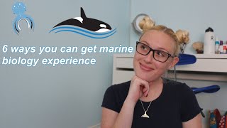 6 ways you can get marine biology experience [upl. by Dnomzed]