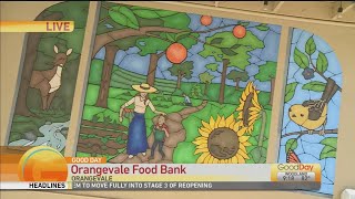 Orangevale Hidden Gems Food Bank [upl. by Ott]