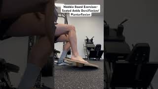 Wobble Board Exercises Seated Ankle DorsiflexionPlantarflexion [upl. by Niamrej]