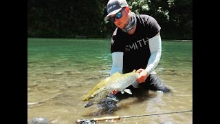 Tongariro Flooded big brown trout in the end [upl. by Kiehl82]