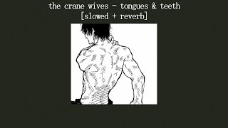 the crane wives  tongues amp teeth slowed  reverb  lyrics [upl. by Manouch]