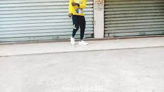 ABOCHI MAMA OFFICIAL DANCE VIDEO BY KWEKU VIPER 233 🇬🇭 [upl. by Nerhe151]