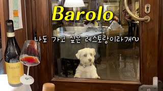 🇮🇹바롤로 현지인 추천 레스토랑 La Cantinetta 추천 와인 Marcarini 피에몬테 barolowine [upl. by Saretta]