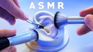 ASMR XXL Brushing amp Brushes ONLY Compilation NO TALKING Tingle Study Sleep Relax [upl. by Kemp]