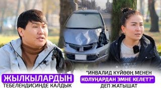 Жылкылардын ээси же айдоочубу ким күнөөлүү [upl. by Ario]