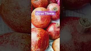 Quran Tilawat Beautiful bayan Islamic beautiful wazifa [upl. by Kletter888]