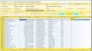 BILLMASTER Software  Print Transaction File Report [upl. by Amled126]