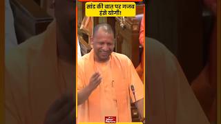 CM Yogi Adityanath Bursts Into Laughter In UP Vidhan Sabha  Akhilesh Yadav On Saand  Shivpal Yadav [upl. by Zilef135]