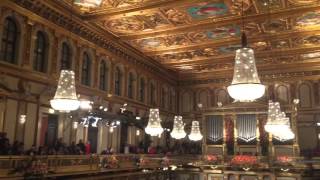 Musikverein Grosser Saal [upl. by Anuahsal113]