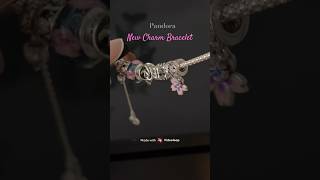 New Pandora charm bracelet unboxing charmbracelet pandora charms friendshipbracelet [upl. by Garfield]