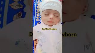 Newborn Baby Day 13th MashaAllah shorts shortsfeed youtubeshorts viralvideo tiktok bts baby [upl. by Alicec]