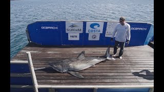 Tagging White Shark Jane in Nova Scotia [upl. by Eiznyl530]