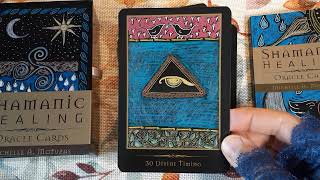 ✨Shamanic Healing Oracle Cards  FlipThrough amp Timeless OneCard Reading✨ [upl. by Hartzell]