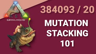 InDepth MUTATION STACKING GUIDE for ARK Survival Evolved [upl. by Irroc681]