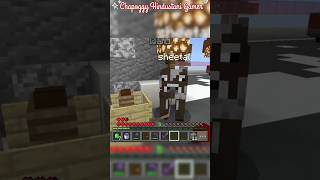 Sheetal ko chahiye khana Part 330 shorts gaming trending gameplay minecraft viralvideo [upl. by Dazraf]