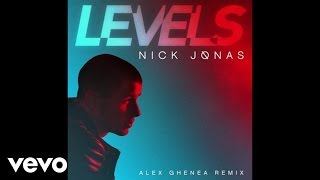 Nick Jonas  Levels Alex Ghenea Radio Edit  Audio [upl. by Heiner329]