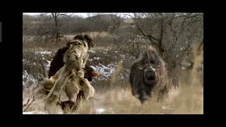 Woolly Rhino and Elasmotherium Vs Carl and Frank the Rhinos [upl. by Ymled]