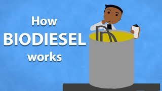 How Biodiesel Works [upl. by Ahar]