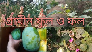 গ্রামীন শীতকালীন ফুল ও সবজির বাহার [upl. by Sewoll]