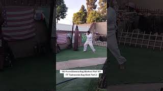 150 Pound Banana Bag Workout Part 181 ITF Taekwondo Bag Work Part 2 [upl. by Ri]