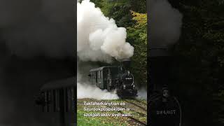 Szilvi gőzös fotósvonattal pöfög a Bükkben railway train vasút kisvasút bükk száev [upl. by Neirbo]