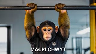 👊🏻👊🏻 MALPI CHWYT na sztandze  WYCISKANIE LEZAC WIOSLOWANIE DEADLIFT [upl. by Verlee]