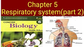 class 6 biology chapter 5 Respiratory System [upl. by Leciram]