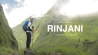 Summit of Greatness RINJANI MOUNTAIN  Sembalun  Torean  Cinematic Vlog [upl. by Aihselef]