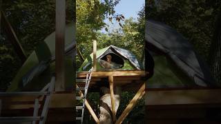 Sleeping in the trees but connected to the ground treehouse treehouselife treefort glamping [upl. by Kristie]