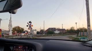 RE 10514 Oradea ➡ Timișoara Nord passes through Zimandu Nou railroad crossing [upl. by Accemahs]