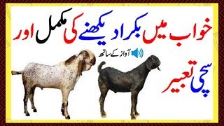 khwab mein bakra dekhna ki tabeer khawab mein bakra dekhna kaisa [upl. by Angadreme22]