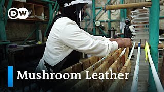 Vegan mushroom leather fashion from Indonesia  Global Ideas [upl. by Behn]