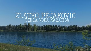 Zlatko Pejaković  Tekla voda Karašica Official lyric video [upl. by Nork]