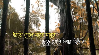 Dhorte Pele Moner Manush  Bengali Lyrics Status  Bengali Status Video 720p [upl. by Atem]