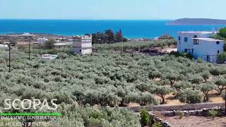 Scopas D436A Land of 3085m2 for sale in Agkairia Paros island Greece [upl. by Atteuqnas967]