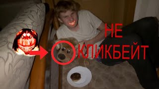 Призываем smile dog НЕ КЛИКБЕЙТ [upl. by Weksler]